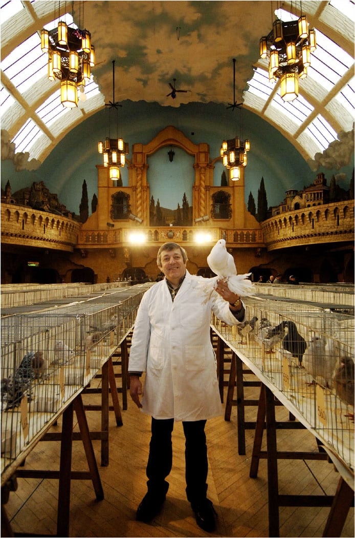 Blackpool Pigeon Show, held at the Winter Gardens each January