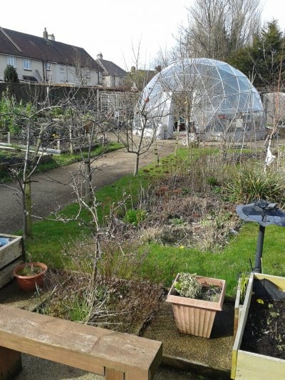 Allotments - Grange Park • Blackpool