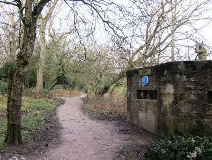 Salisbury Woodlands