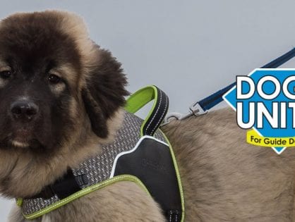 Dogs Unite Sponsored Dog Walk - POSTPONED