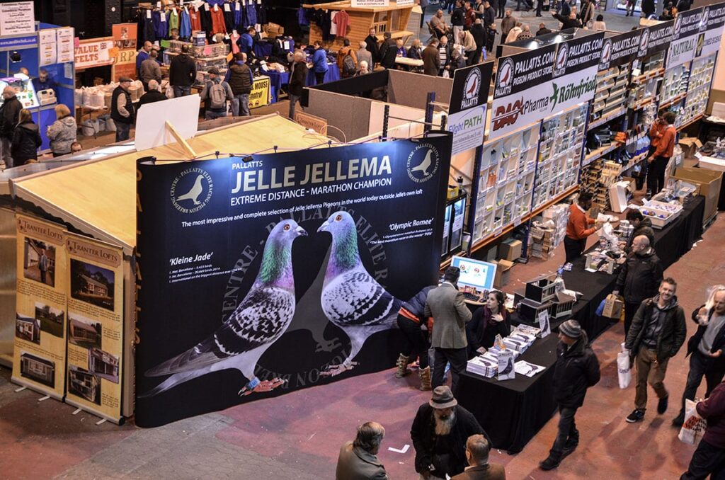 Blackpool Pigeon Show 2019 at the Winter Gardens