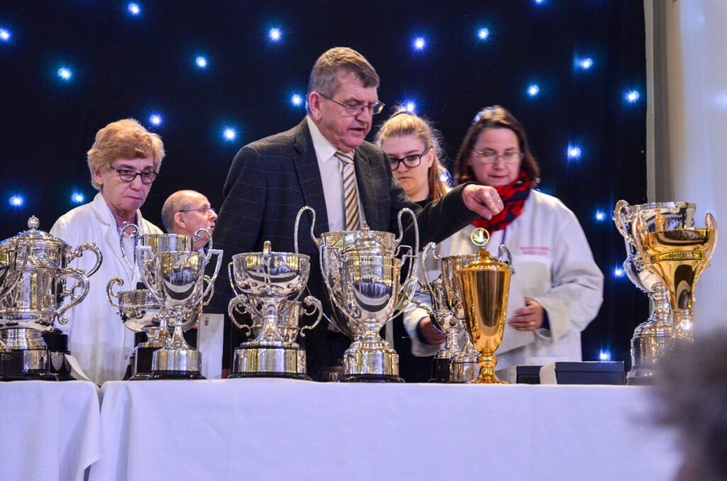 Blackpool Pigeon Show 2019 at the Winter Gardens