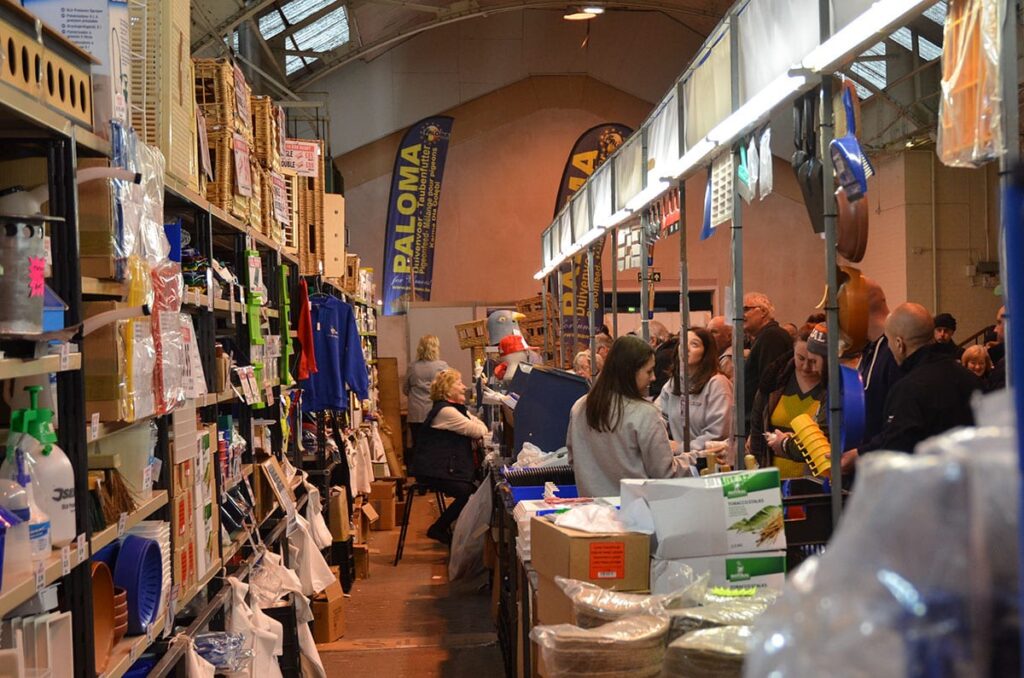 Blackpool Pigeon Show 2019 at the Winter Gardens