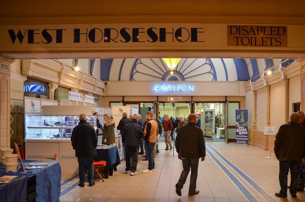 Blackpool Pigeon Show 2019 at the Winter Gardens