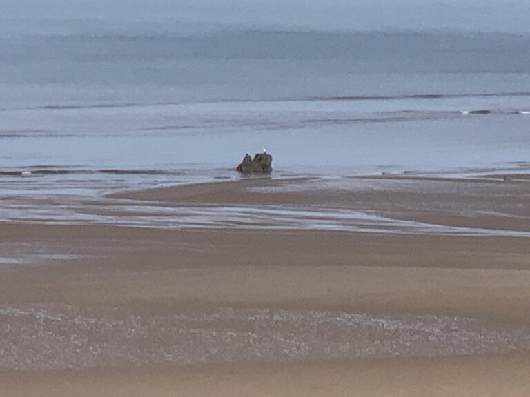 Carlin rock, offshore at Bispham